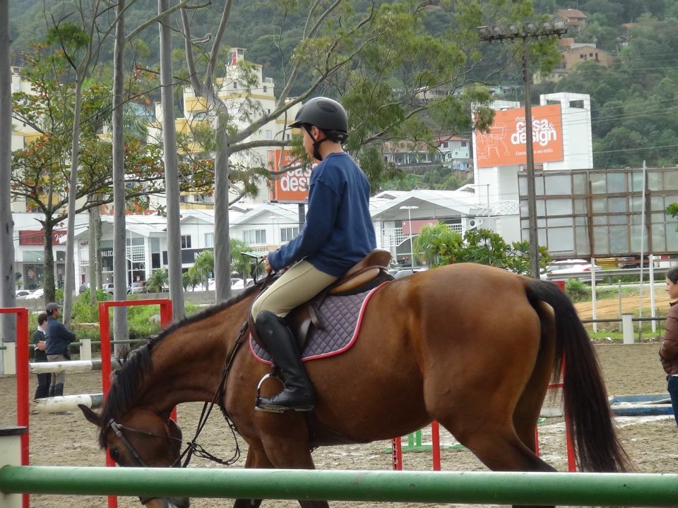 Atleta da FSMH tem seus cavalos eliminados por veterinária no Campeonato Brasileiro