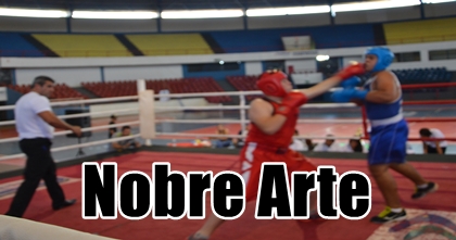 Noitada Luvas de Ouro movimenta o Boxe de MS