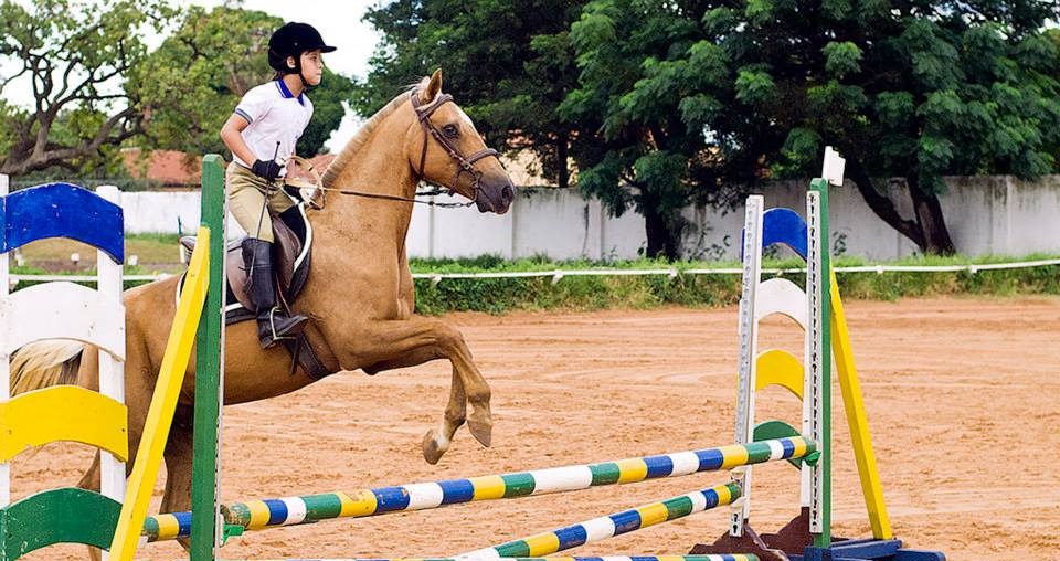 Hipismo abre temporada em MS com prova de saltos