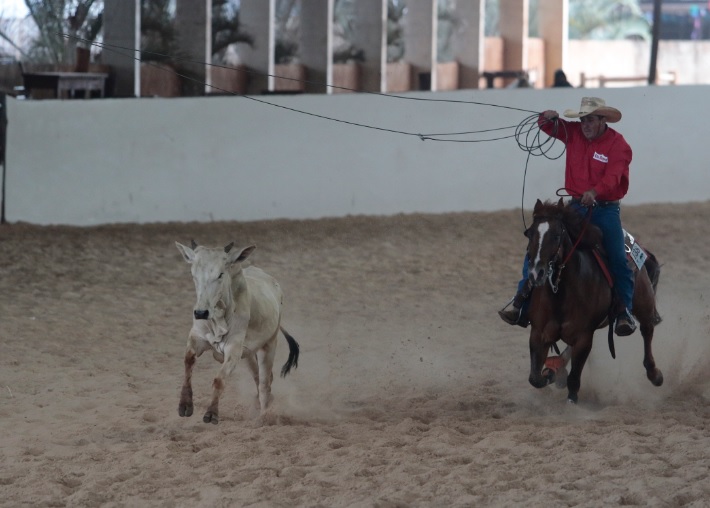 Torneio de laço reúne esportistas de todo País na Capital