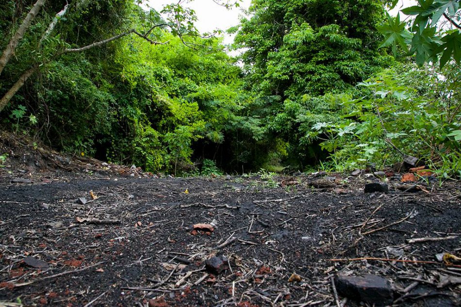 Eco Pantanal Extremo: Corrida de Trilha será disputada em duas distâncias