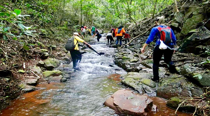 Trilhas de MS: conheça os melhores lugares para se aventurar no contato com a natureza