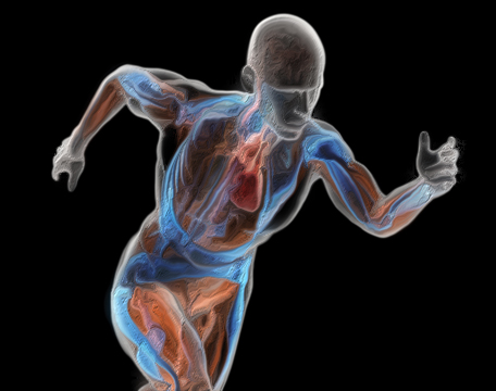 Curso virtual terá fisiologia do treinamento desportivo como tema