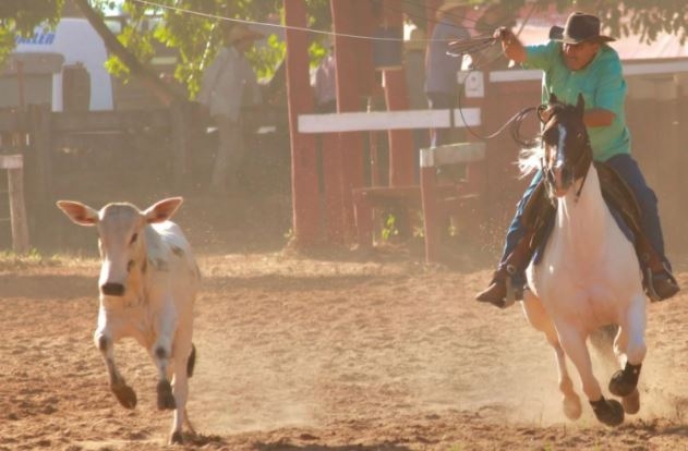 15º Encontro do Laço Comprido Costa Rica acontece no final de semana
