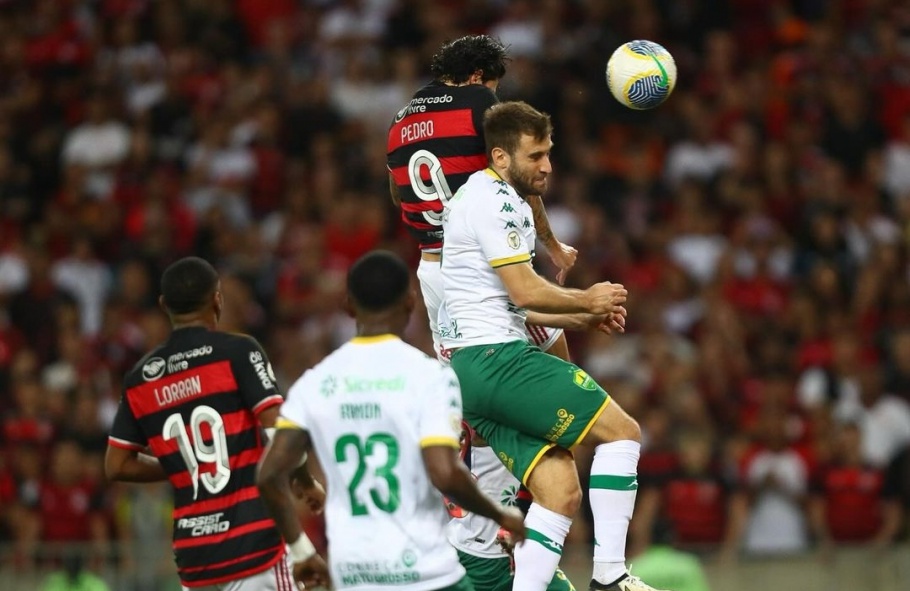 Flamengo, Botafogo e Palmeiras disputam o topo do Brasileirão Betano