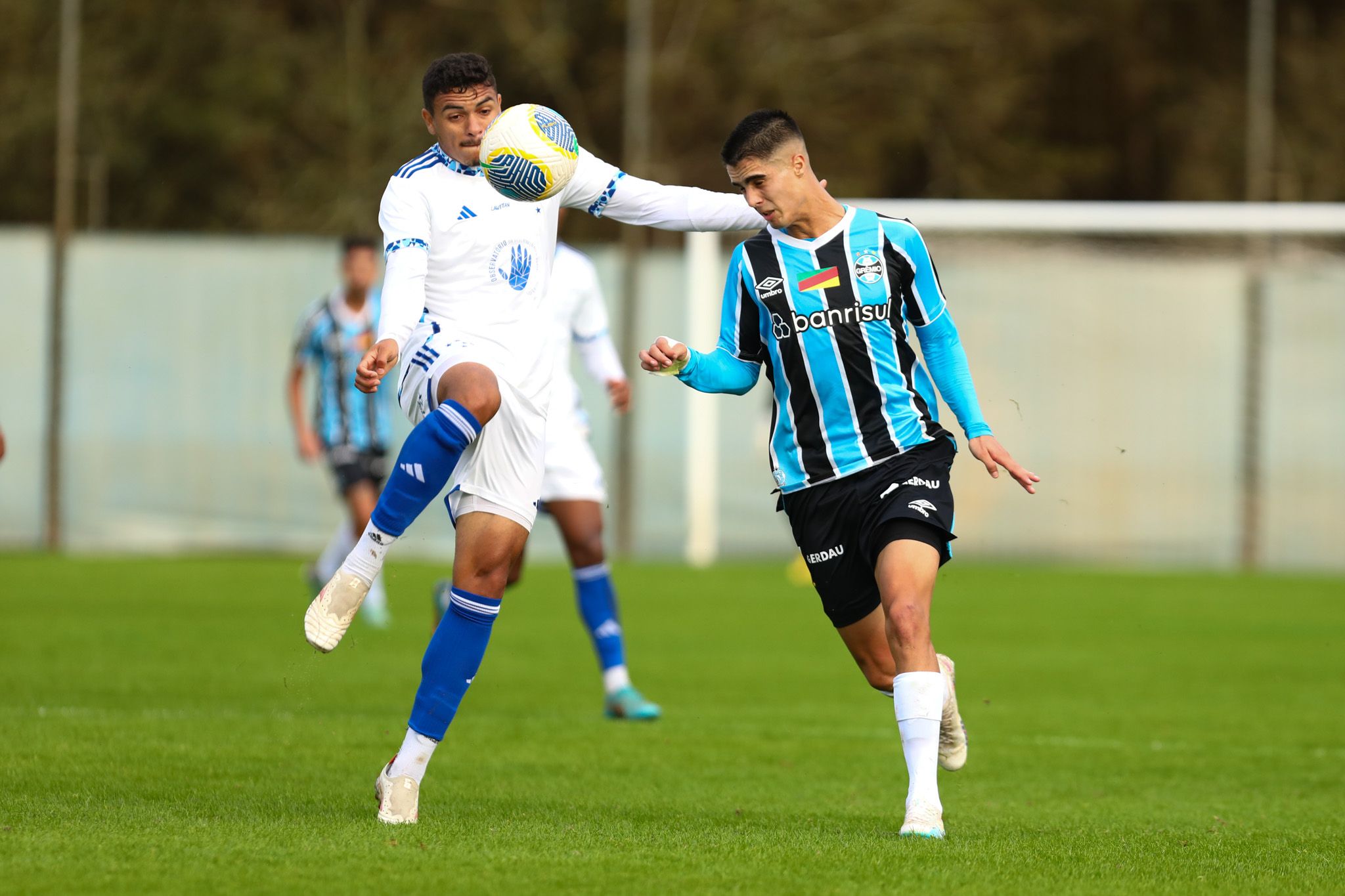 Duelo entre Grêmio e Cruzeiro abre quartas de final do Brasileirão Sub-20
